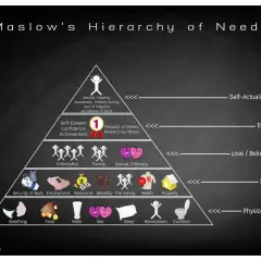 Piramide potrzeb Maslowa: na dole **jakie są potrzeby fizjologiczne** (jedzenie, woda, seks, sen, oddychanie, wydalanie), wyżej bezpieczeństwo, miłość, szacunek i samorealizacja.