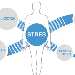 Schemat przedstawiający stres jako przyczynę chorób: anoreksja, bulimia, cukrzyca, nowotwory, choroby serca, alergie, otyłość, choroba Alzheimera, hipowitaminoza.