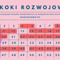 Kalendarz skoków rozwojowych w pierwszym roku życia dziecka z zaznaczonymi tygodniami.