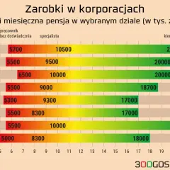 Wykres słupkowy pokazujący zarobki w korporacjach wg działów i stanowisk.