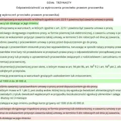 Fragment tekstu prawnego dotyczący odpowiedzialności pracodawcy za wykroczenia przeciwko prawom pracownika.