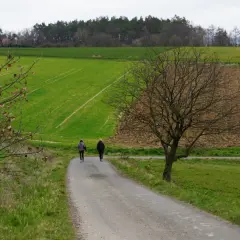 Dwie osoby idące ścieżką przez zielone pola i las w tle.