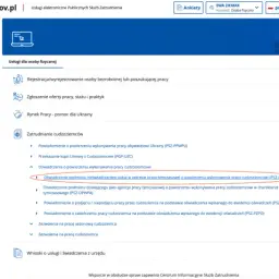 Oświadczenie podmiotu nieświadczącego usług w zakresie pracy tymczasowej o powierzeniu wykonywania pracy cudzoziemcowi (PSZ-OPWP) na portalu Praca.gov.pl.