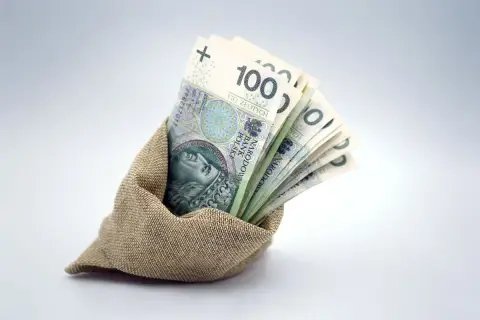 Plik banknotów 100 zł w worku. Czy to zapowiedź nowych zasad orzekania o niepełnosprawności i wsparcia finansowego?
