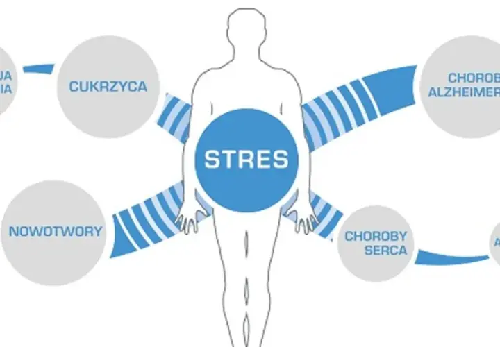 Schemat przedstawiający stres jako przyczynę chorób: anoreksja, bulimia, cukrzyca, nowotwory, choroby serca, alergie, otyłość, choroba Alzheimera, hipowitaminoza.