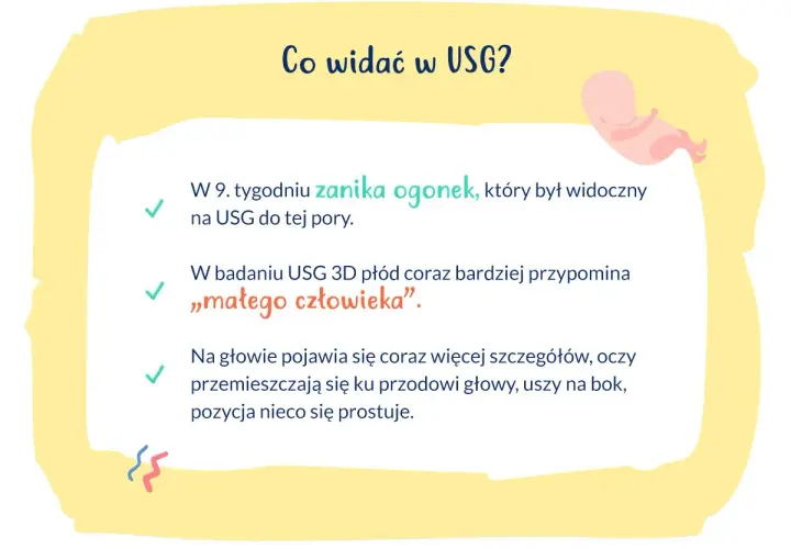 W 9. tygodniu ciąży zanika ogonek płodu, który na USG przypomina już "małego człowieka". Pojawiają się szczegóły głowy.
