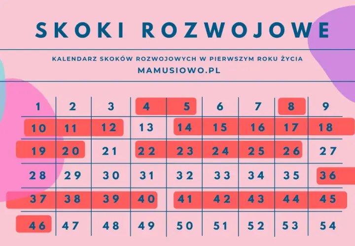 Kalendarz skoków rozwojowych w pierwszym roku życia dziecka z zaznaczonymi tygodniami.