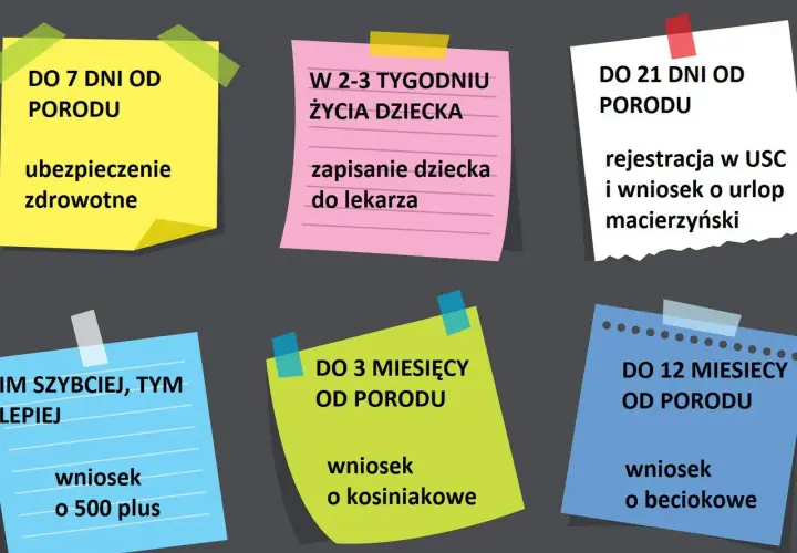 Terminy formalności po porodzie: ubezpieczenie zdrowotne (7 dni), rejestracja dziecka i wniosek o urlop macierzyński (21 dni), wniosek o 500+, becikowe i kosiniakowe.