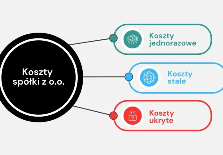 Diagram przedstawiający koszty spółki z o.o.: jednorazowe, stałe i ukryte.
