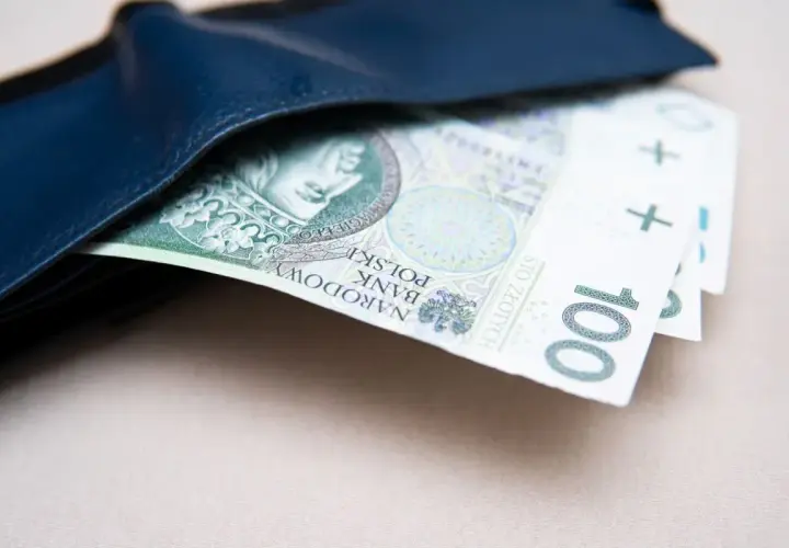Portfel z banknotami 100 zł. Symbol niepełnosprawności 07-s nie jest widoczny.
