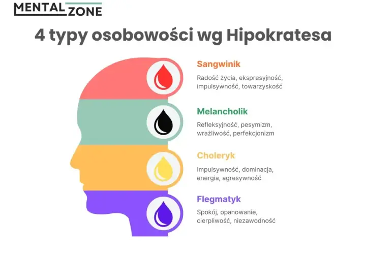 Profil głowy podzielony na 4 kolory, symbolizujące typy osobowości: sangwinik, melancholik, choleryk, flegmatyk.