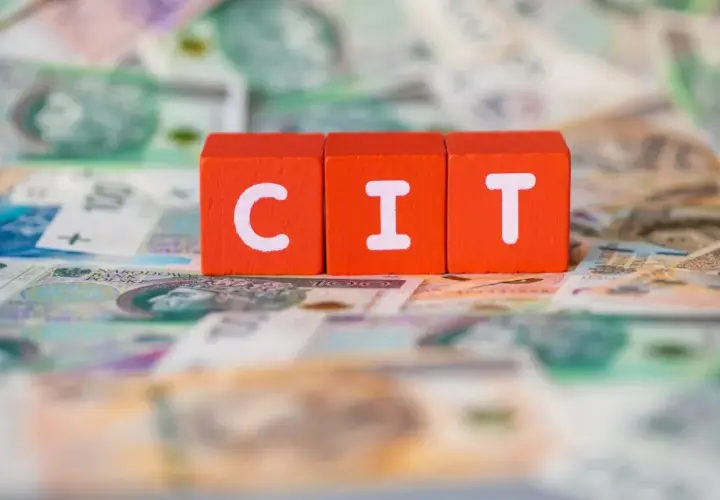 Czerwone klocki z literami "C", "I", "T" leżą na banknotach. Podatek CIT to ważna kwestia dla firm.