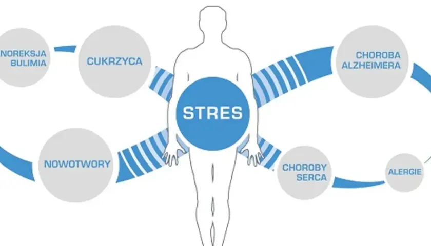 Schemat przedstawiający stres jako przyczynę chorób: anoreksja, bulimia, cukrzyca, nowotwory, choroby serca, alergie, otyłość, choroba Alzheimera, hipowitaminoza.