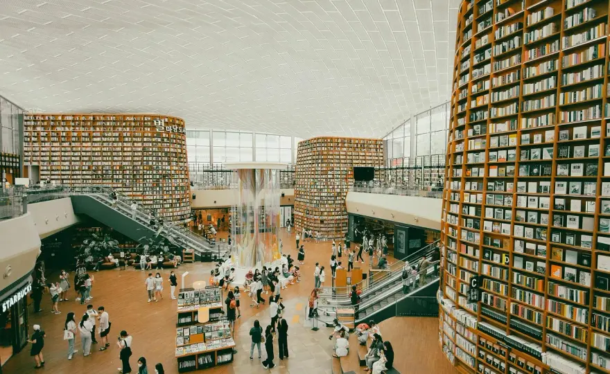 Praca bibliotekarza – zarobki, wymagania, codzienne obowiązki