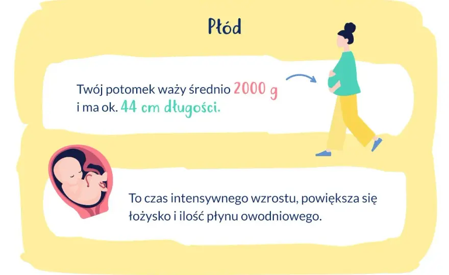 33. tydzień ciąży - Co musisz wiedzieć o dziecku i sobie?