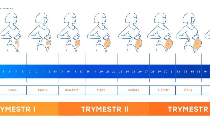 Ile trwa ciąża? Dni, tygodnie, miesiące - pełny przewodnik