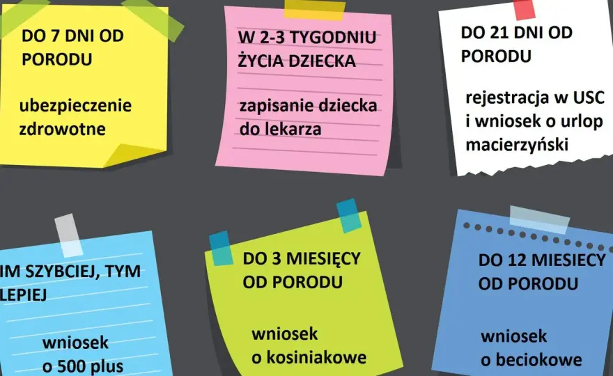 Formalności po porodzie - co załatwić krok po kroku?