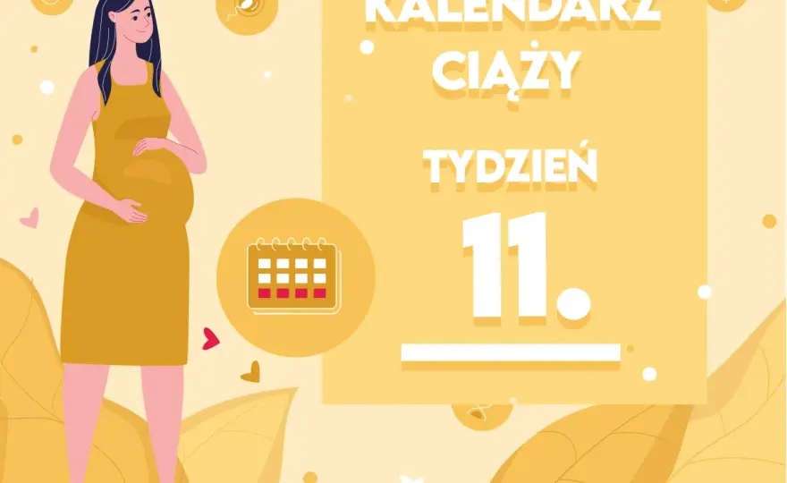 11 tydzień ciąży - Rozwój dziecka, objawy i badania. Sprawdź!