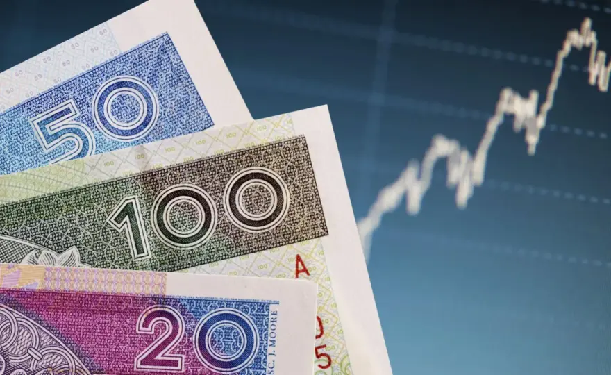BFG - Jak chronić oszczędności? Limit 100 tys. euro i więcej