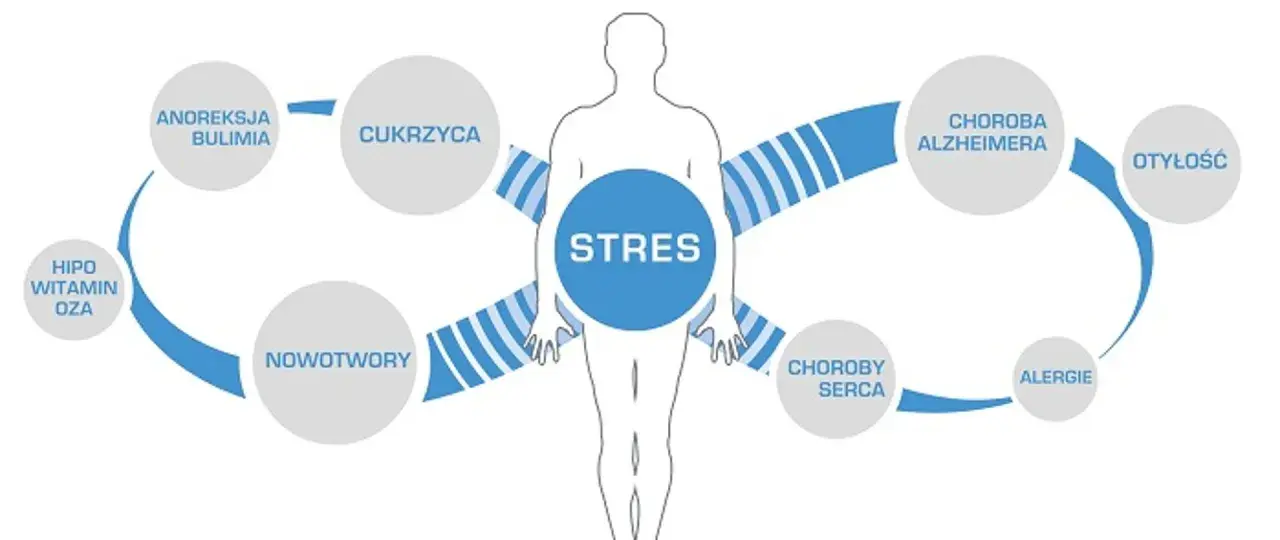 Schemat przedstawiający stres jako przyczynę chorób: anoreksja, bulimia, cukrzyca, nowotwory, choroby serca, alergie, otyłość, choroba Alzheimera, hipowitaminoza.