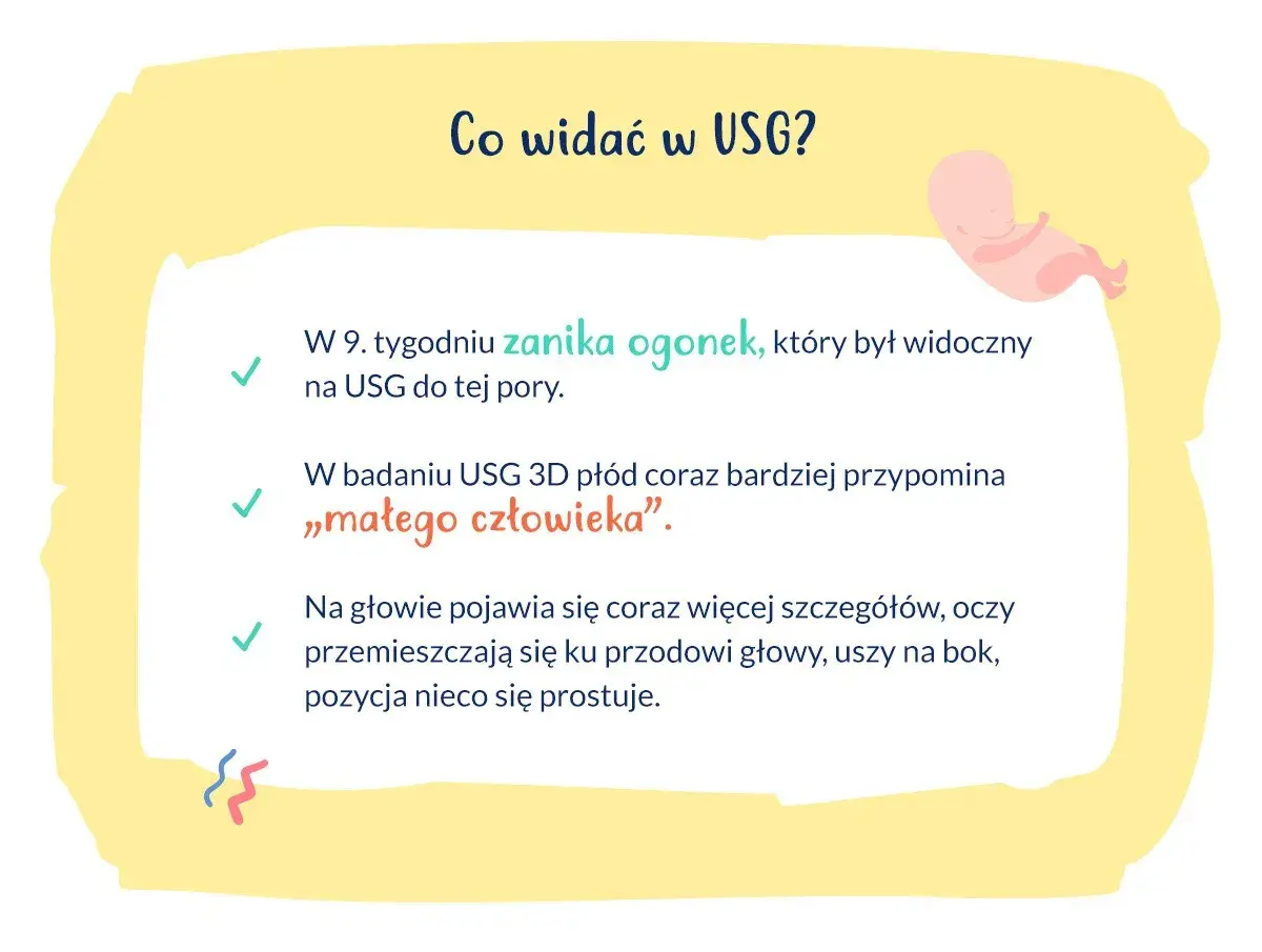 W 9. tygodniu ciąży zanika ogonek płodu, który na USG przypomina już "małego człowieka". Pojawiają się szczegóły głowy.