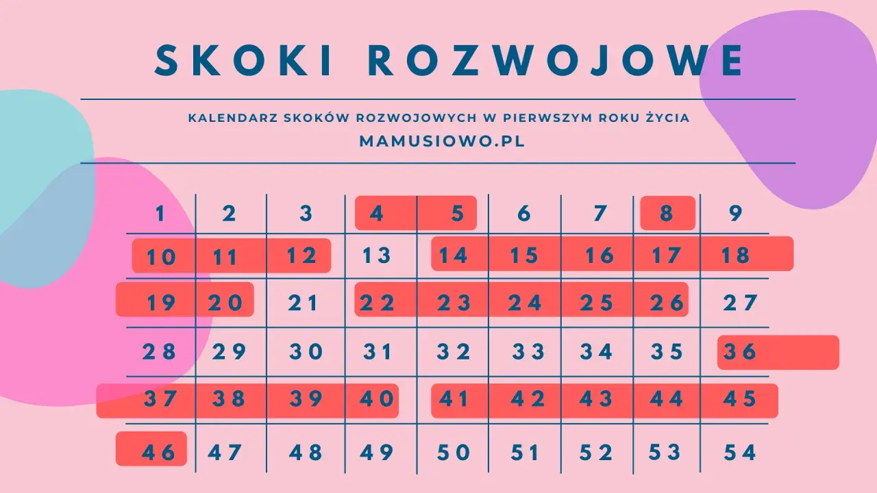 Kalendarz skoków rozwojowych w pierwszym roku życia dziecka z zaznaczonymi tygodniami.