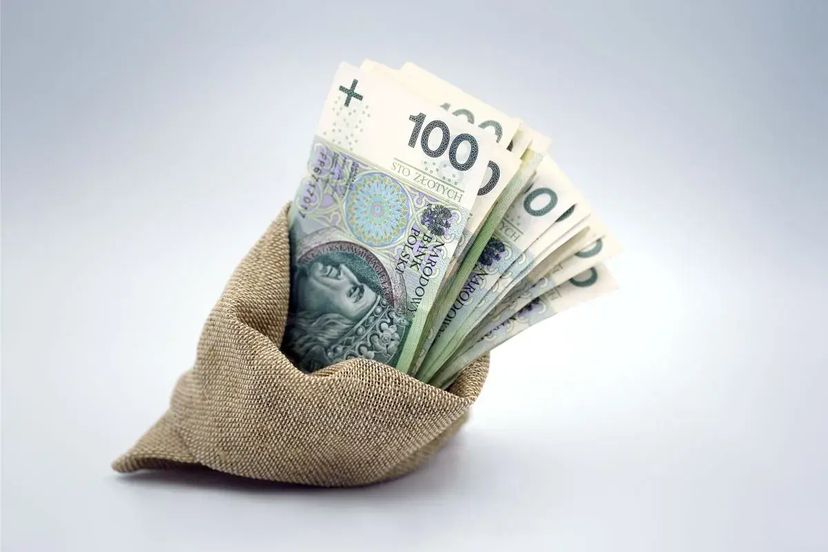 Plik banknotów 100 zł w worku. Czy to zapowiedź nowych zasad orzekania o niepełnosprawności i wsparcia finansowego?