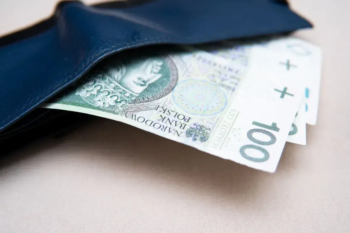 Portfel z banknotami 100 zł. Symbol niepełnosprawności 07-s nie jest widoczny.