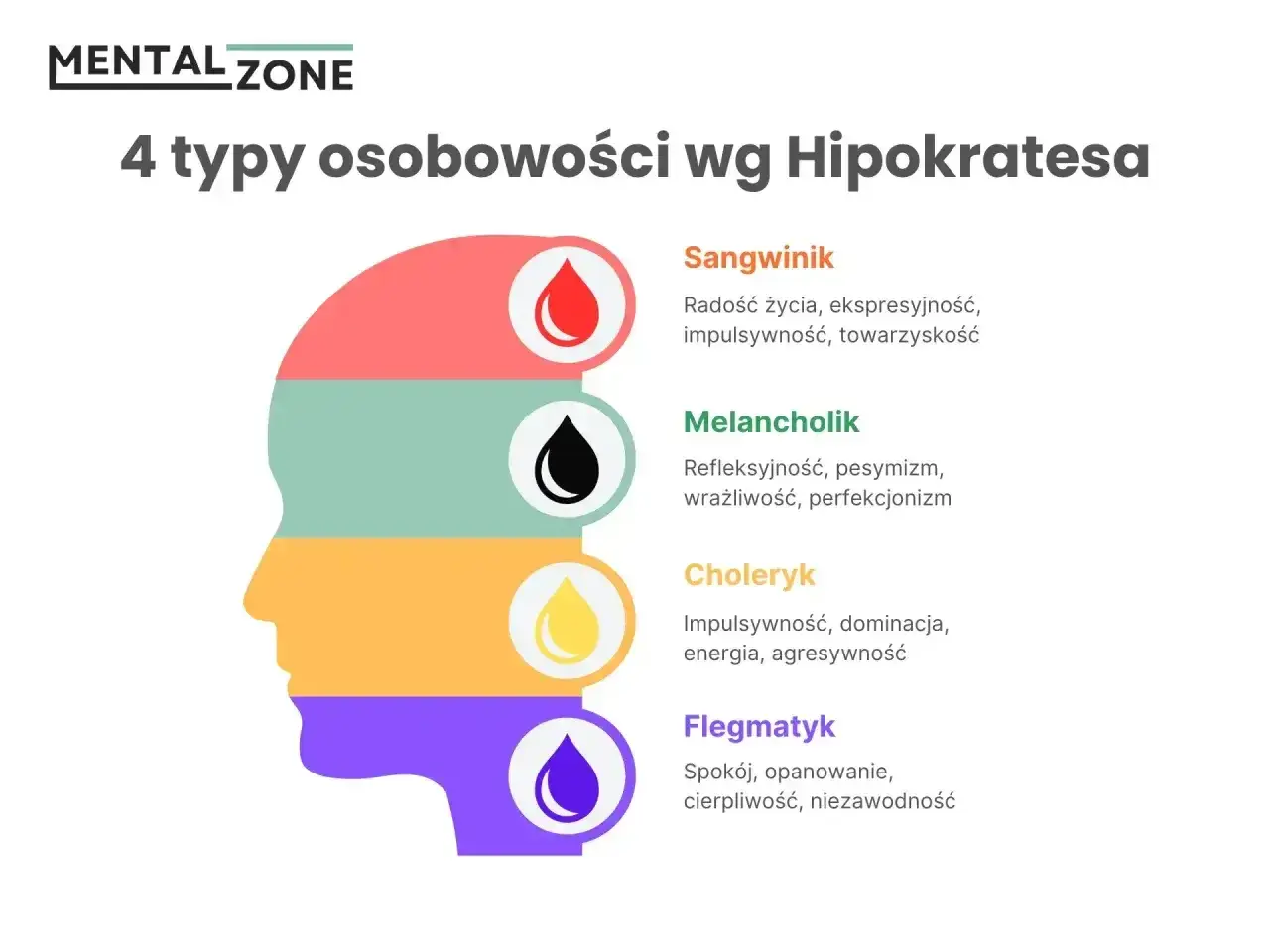 Profil głowy podzielony na 4 kolory, symbolizujące typy osobowości: sangwinik, melancholik, choleryk, flegmatyk.