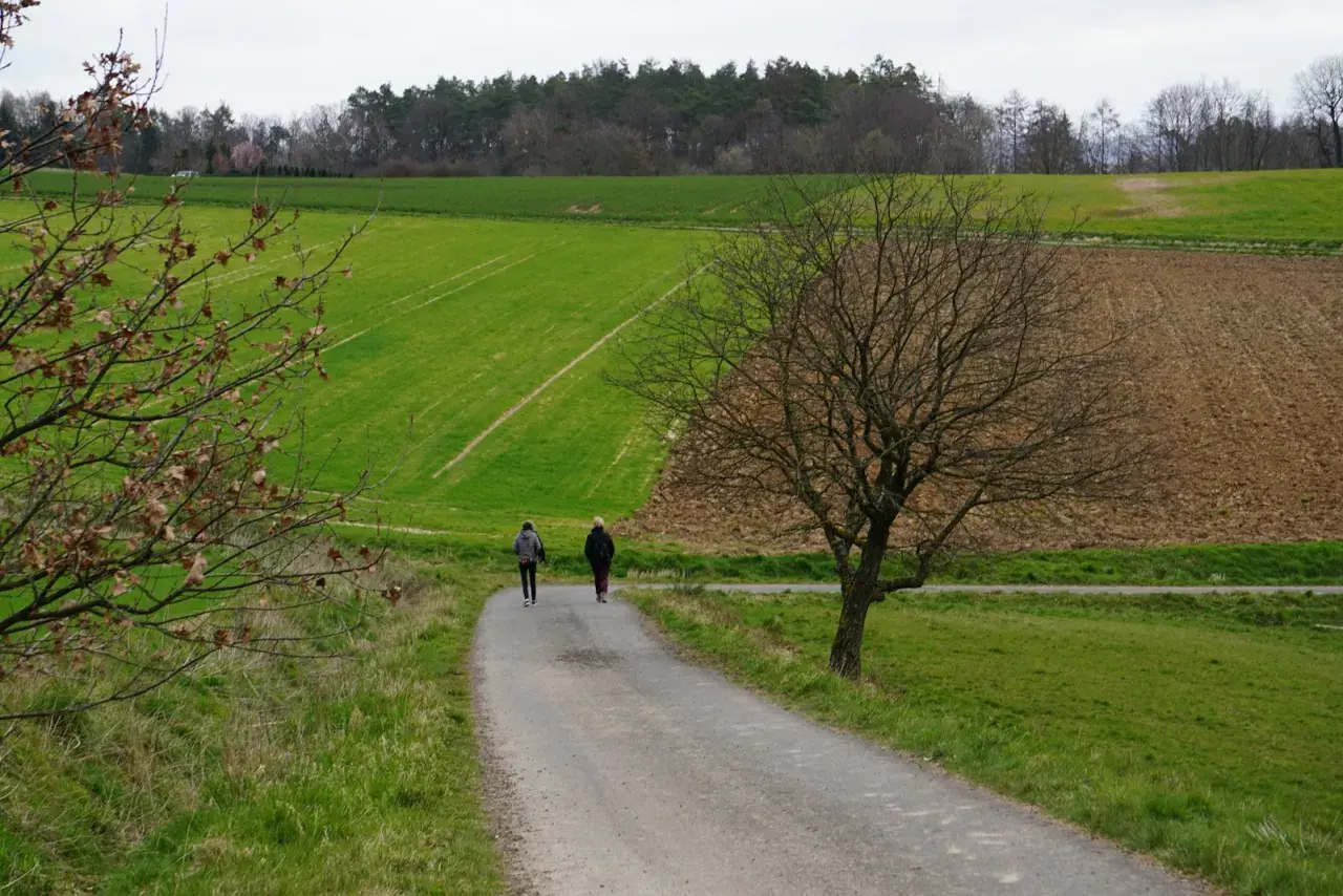 Dwie osoby idące ścieżką przez zielone pola i las w tle.