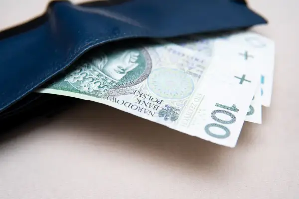Portfel z banknotami 100 zł. Symbol niepełnosprawności 07-s nie jest widoczny.